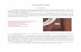 5 prova pdf guida artistica - amicidiviboldone.it
