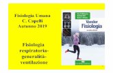 Fisiologia Umana C. Capelli Autunno 2019