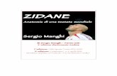 S. Manghi, Zidane, 2011