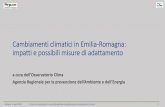 Cambiamenti climatici in Emilia-Romagna: impatti e ...