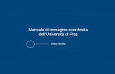 Manuale di immagine coordinata dell’Università di Pisa