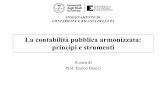 La contabilità pubblica armonizzata: principi e strumenti