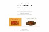 Mandala: un caos ordinato - SuperZeko