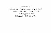 Regolamento del Servizio Idrico Integrato Gaia S.p.A.