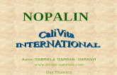 Nopalin - produs natural pentru reglarea metabolismului ...