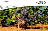 LINEA VITE - res.cloudinary.com