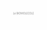 Le BIOMOLECOLE - Prof. Luca Moschetti