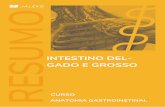 INTESTINO DEL- GADO E GROSSO - Amazon Web Services