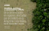 Análisis político y económico (PEA) de la deforestación en ...