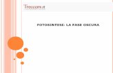 FOTOSINTESI: LA FASE OSCURA - Treccani