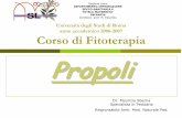 Università degli Studi di Roma anno accademico 2006-2007 ...