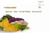 BIO IN CIFRE 2020 - Sinab