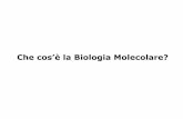 Che cos’è la Biologia Molecolare?