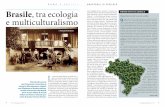 E SOCIE AMAZZONIA IN PERICOLO Brasile, tra ecologia ...