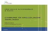 COMUNE DI VALLELAGHI TERLAGO - GSH