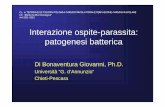 Interazione ospite-parassita: patogenesi batterica