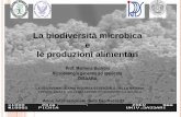 La biodiversità microbica e le produzioni alimentari