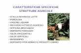 CARATTERISTICHE SPECIFICHE STRUTTURE AGRICOLE
