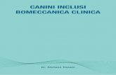 CANINI INCLUSI BOMECCANICA CLINICA - ORTHOTEAM