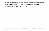 La visione soggettiva: progetti e paesaggi Luigi Spinelli