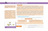 CLASE DE COMPU{I ORGANICI