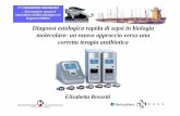 Rosetti Diagnosi eziologica rapida di sepsi in biologia ...
