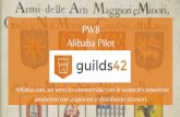 PW8 Alibaba Pilot