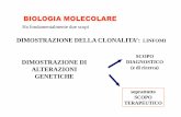 Lezione 9 BIOLOGIA MOLECOLARE S. INF 2018