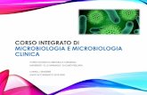 CORSO INTEGRATO DI MICROBIOLOGIA E MICROBIOLOGIA …