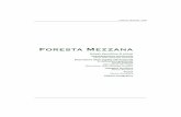 FORESTA MEZZANA 105 - regione campania