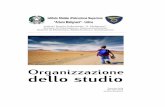 Organizzazione dello studio - malignani.ud.it