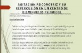 AGITACIÓN PSICOMOTRIZ Y SU REPERCUSIÓN EN UN CENTRO DE ...