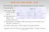 Moto del corpo umano: salto - INFN Sezione di Padova