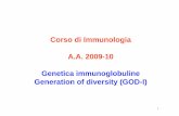 6 - Genetica immunoglobuline 2009-10