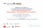 PROGETTO FLORE 3.0 IL FLOROVIVAISMO MEDITERRANEO UN ...