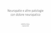Neuropatie e altre patologie con dolore neuropatico