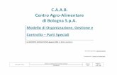 C.A.A.B. Centro Agro-Alimentare di Bologna S.p.A.