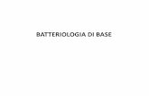 BATTERIOLOGIA DI BASE - Unife