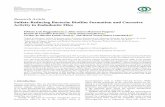Sulfate-ReducingBacteria:BiofilmFormationandCorrosive ...
