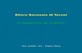 Ettore Bonessio di Terzet - Vico Acitillo