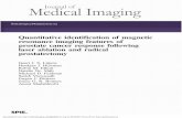 Quantitative identification of magnetic resonance imaging ...