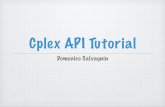 Cplex API Tutorial