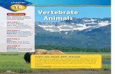 Vertebrate - SVHS Homework