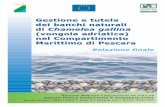 Gestione e tutela dei banchi naturali di Chamelea gallina (vongola adriatica)