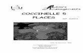 COCCINELLE 5 PLACES - Casal Sport