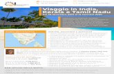 Kerala e Tamil Nadu Viaggio in India, - Suryanagara