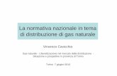 La normativa nazionale in tema di distribuzione di gas
