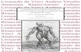 L'anatomia fino al Rinascimento: la svolta di Andrea Vesalio e confronto con Leonardo da Vinci