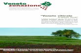 VVenenetoeto zonazi one - Veneto Agricoltura