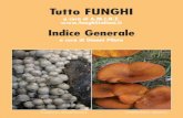 Download indice in formato pdf - Funghi e Fiori in Italia